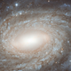Illustration for article titled The stars dance with a spiral galaxy 80 million light-years away